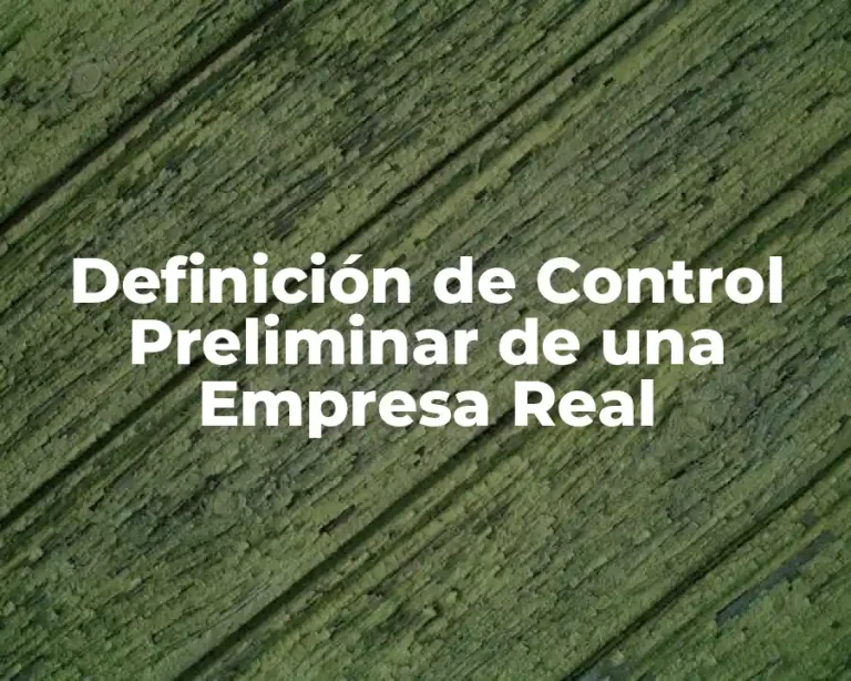 Definición de Control Preliminar de una Empresa Real