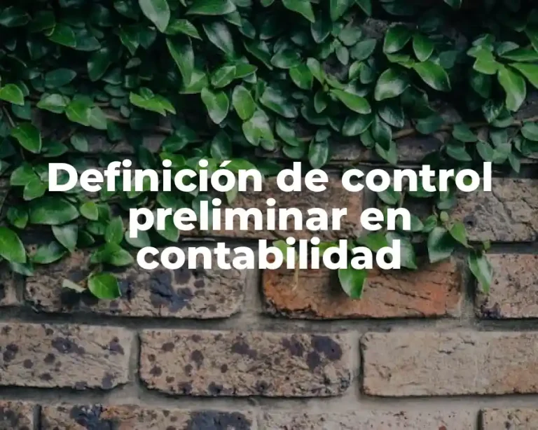 Definición de control preliminar en contabilidad