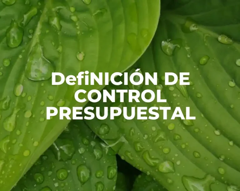 DefiNICIÓN DE CONTROL PRESUPUESTAL