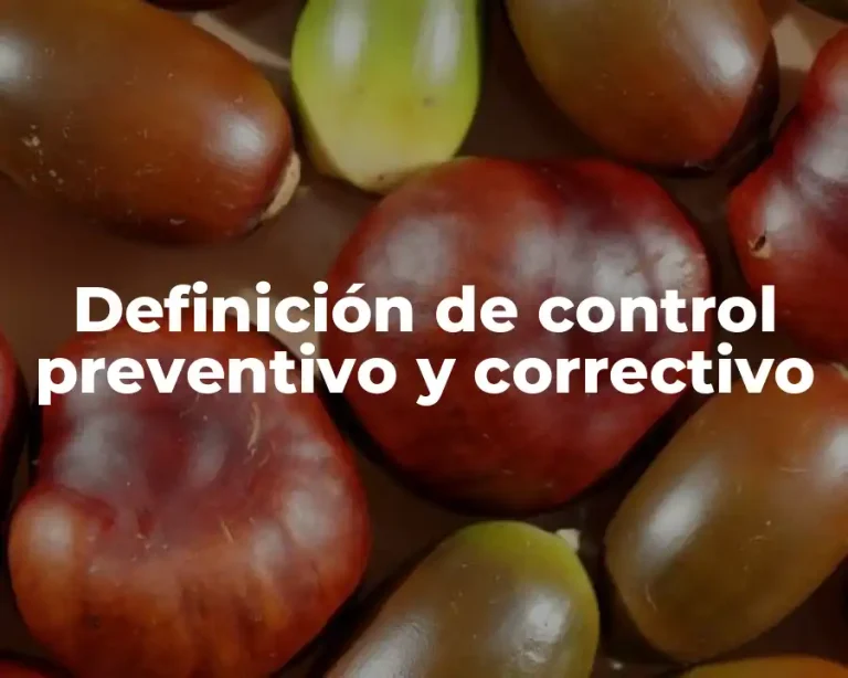 Definición de control preventivo y correctivo
