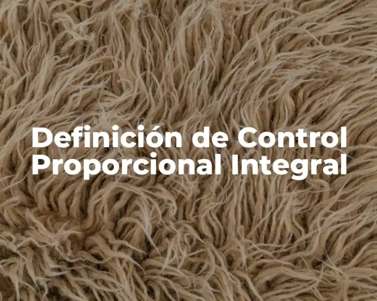 Definición de Control Proporcional Integral