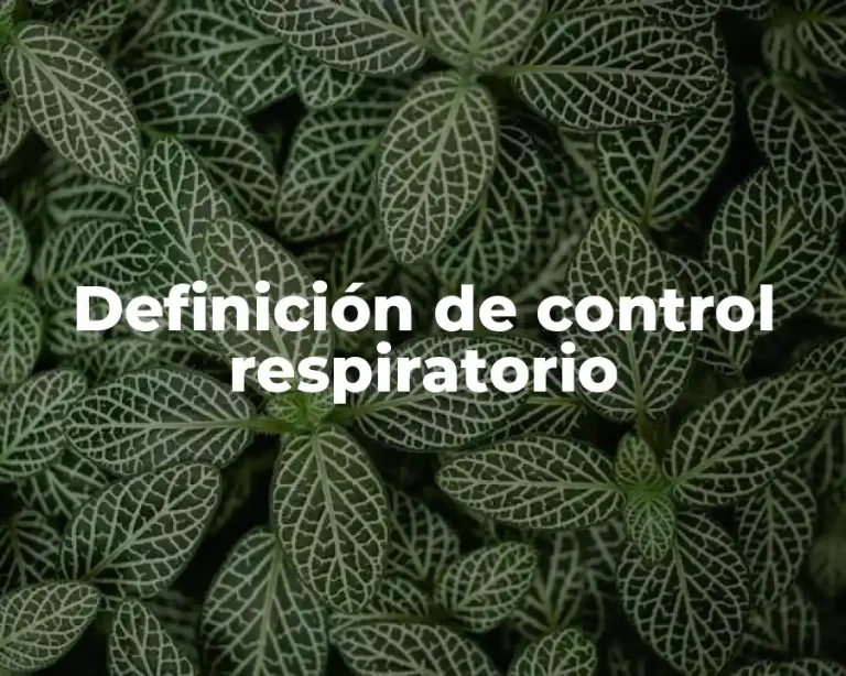 Definición de control respiratorio
