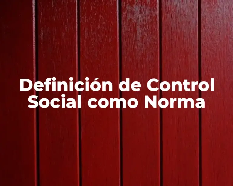 Definición de Control Social como Norma