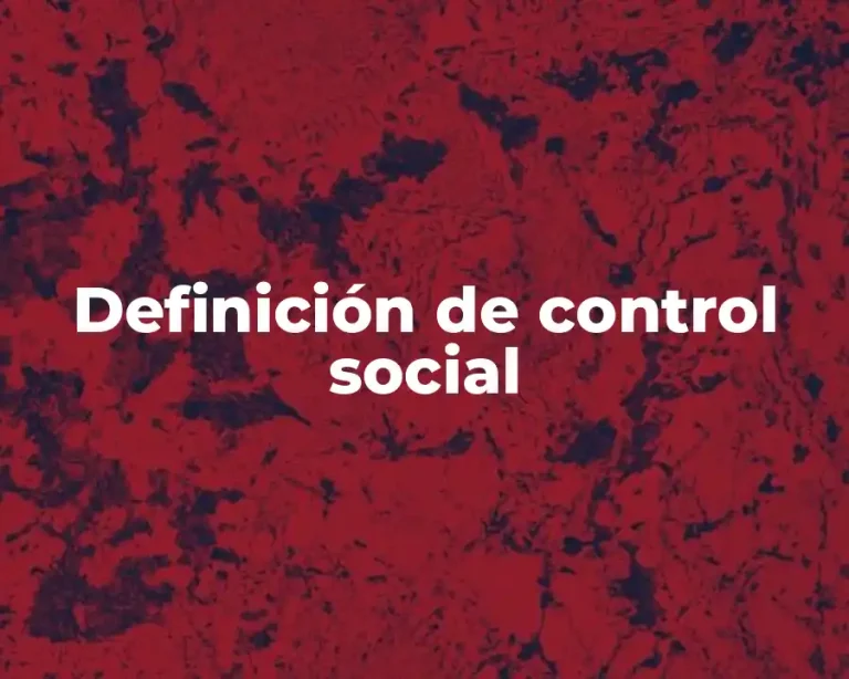 Definición de control social