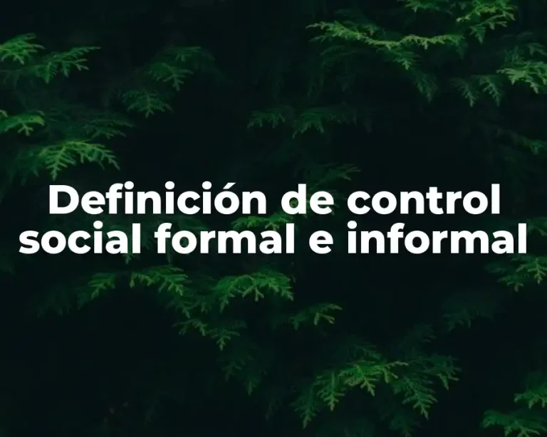 Definición de control social formal e informal