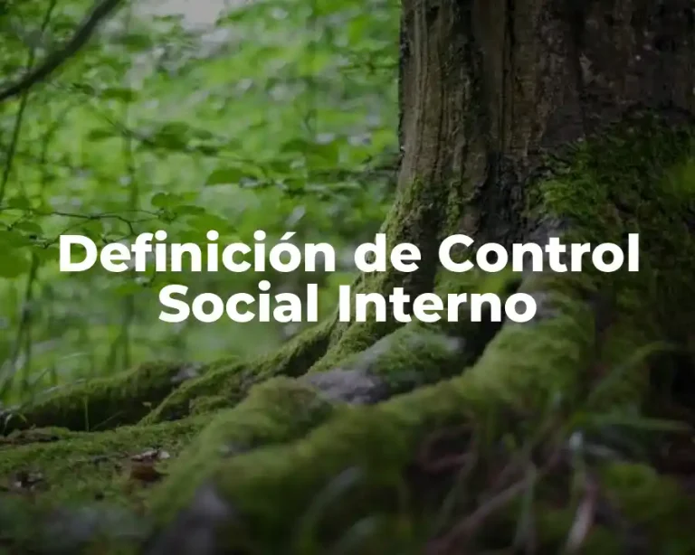 Definición de Control Social Interno