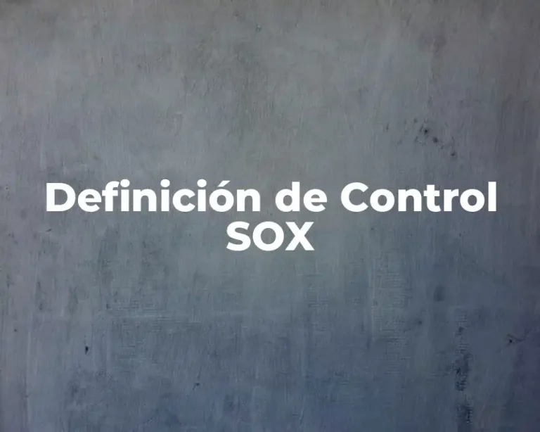 Definición de Control SOX