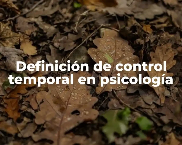 Definición de control temporal en psicología