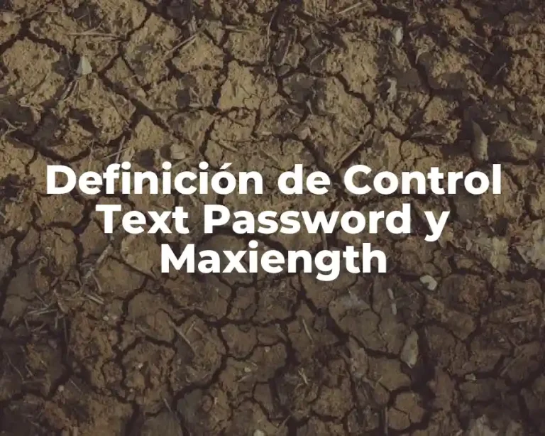 Definición de Control Text Password y Maxiength
