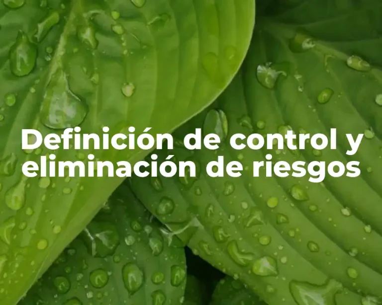 Definición de control y eliminación de riesgos