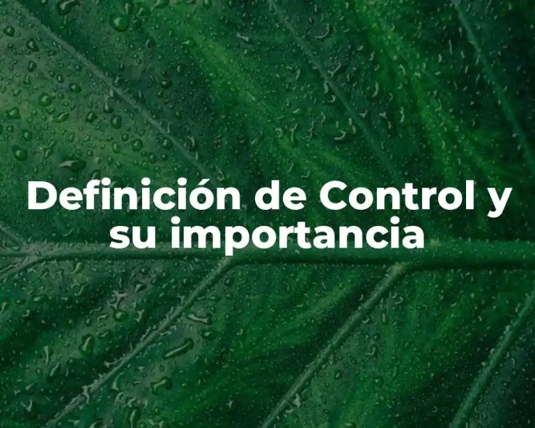 Definición de Control y su importancia