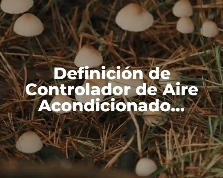 Definición de Controlador de Aire Acondicionado Automotriz