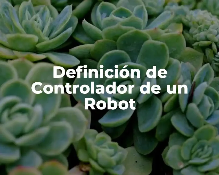 Definición de Controlador de un Robot