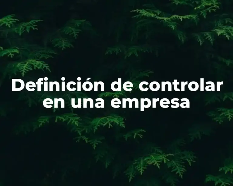 Definición de controlar en una empresa