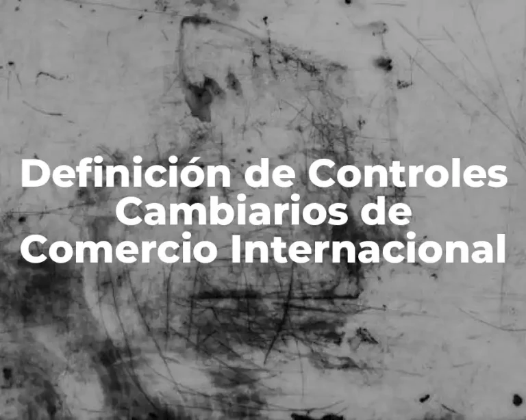Definición de Controles Cambiarios de Comercio Internacional