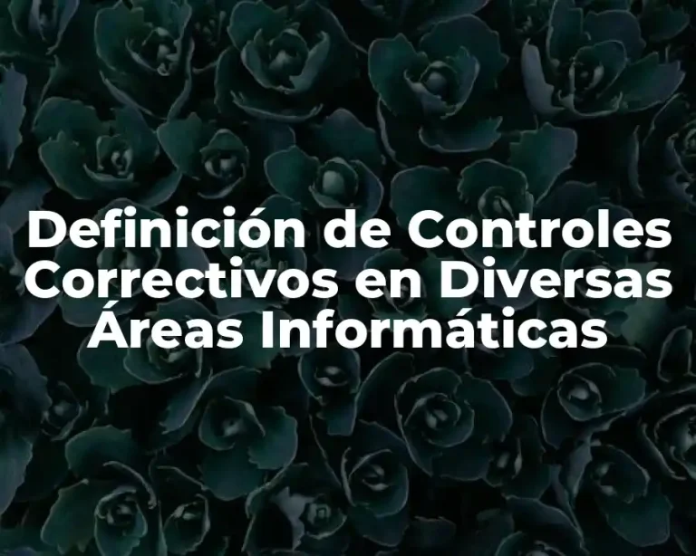 Definición de Controles Correctivos en Diversas Áreas Informáticas