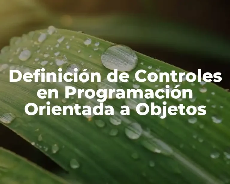 Definición de Controles en Programación Orientada a Objetos