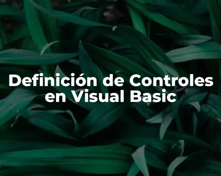 Definición de Controles en Visual Basic