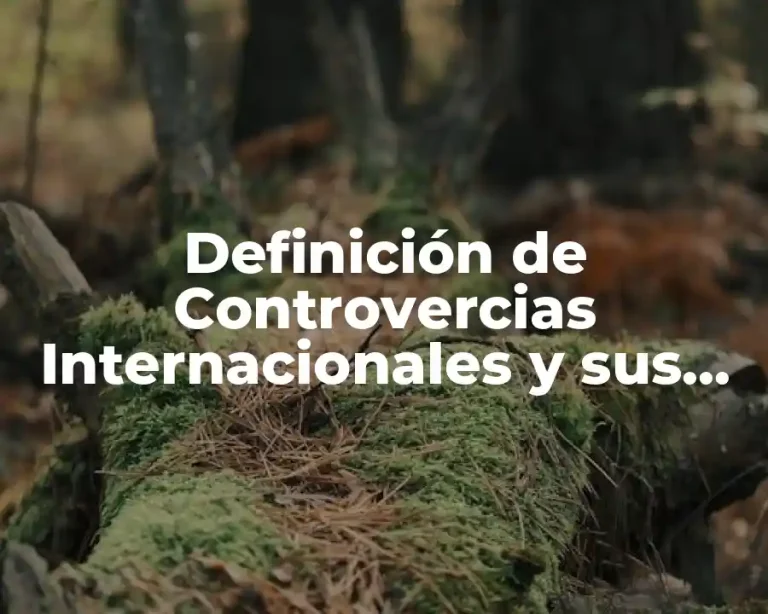 Definición de Controvercias Internacionales y sus Soluciones