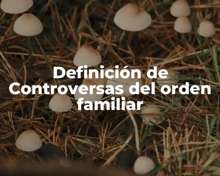 Definición de Controversas del orden familiar