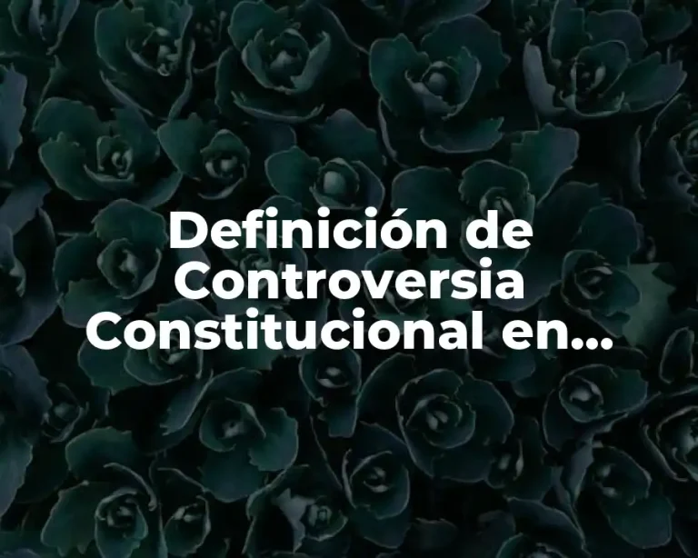 Definición de Controversia Constitucional en México