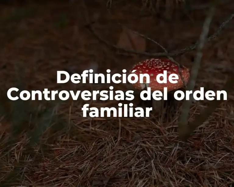 Definición de Controversias del orden familiar