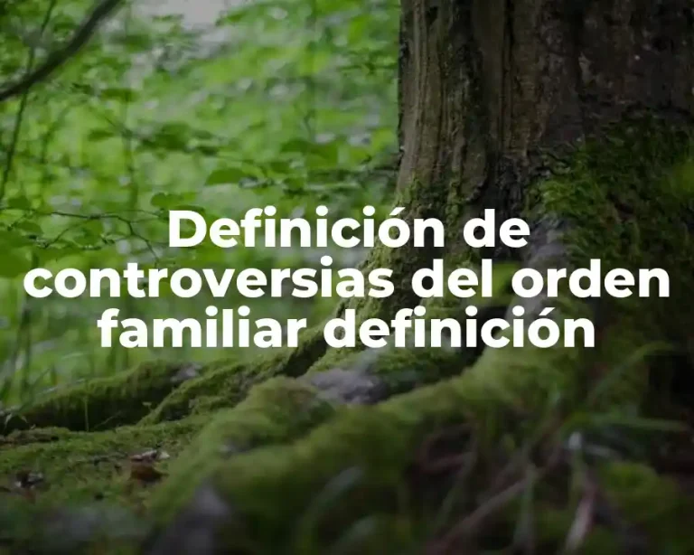Definición de controversias del orden familiar definición
