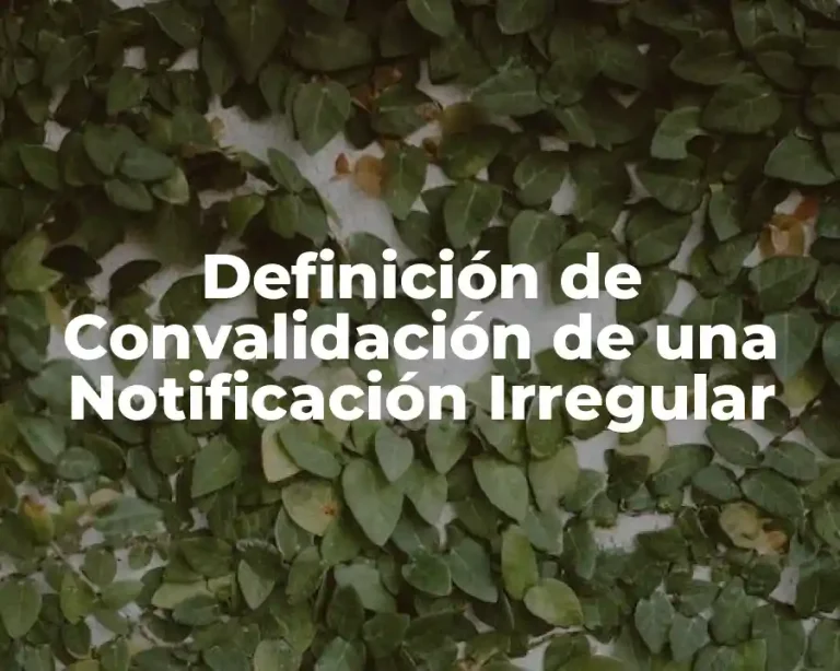 Definición de Convalidación de una Notificación Irregular