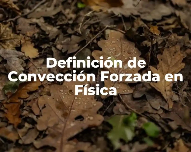 Definición de Convección Forzada en Física