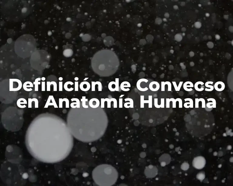 Definición de Convecso en Anatomía Humana