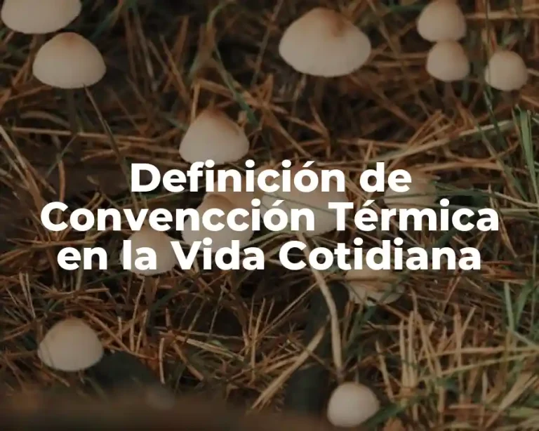 Definición de Convencción Térmica en la Vida Cotidiana