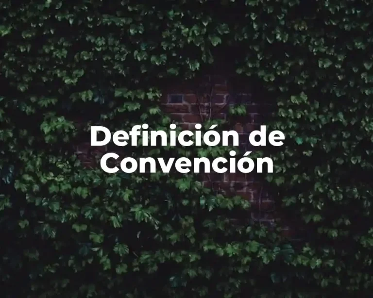 Definición de Convención
