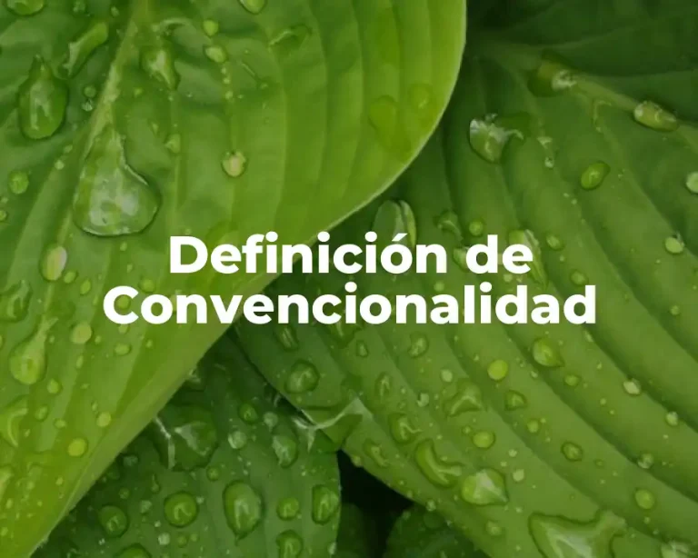 Definición de Convencionalidad