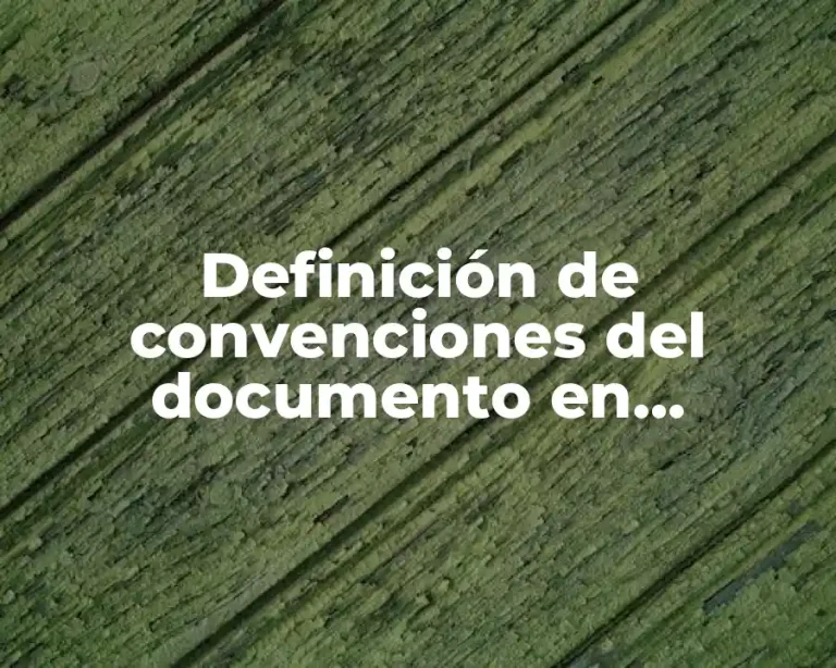 Definición de convenciones del documento en ingeniería de software