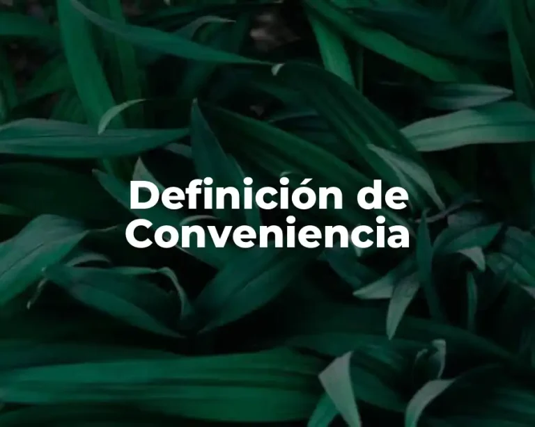Definición de Conveniencia