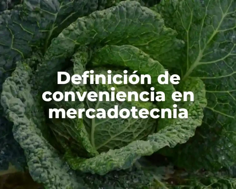 Definición de conveniencia en mercadotecnia