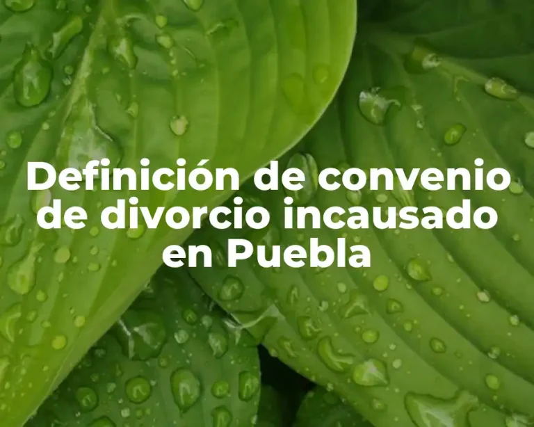 Definición de convenio de divorcio incausado en Puebla