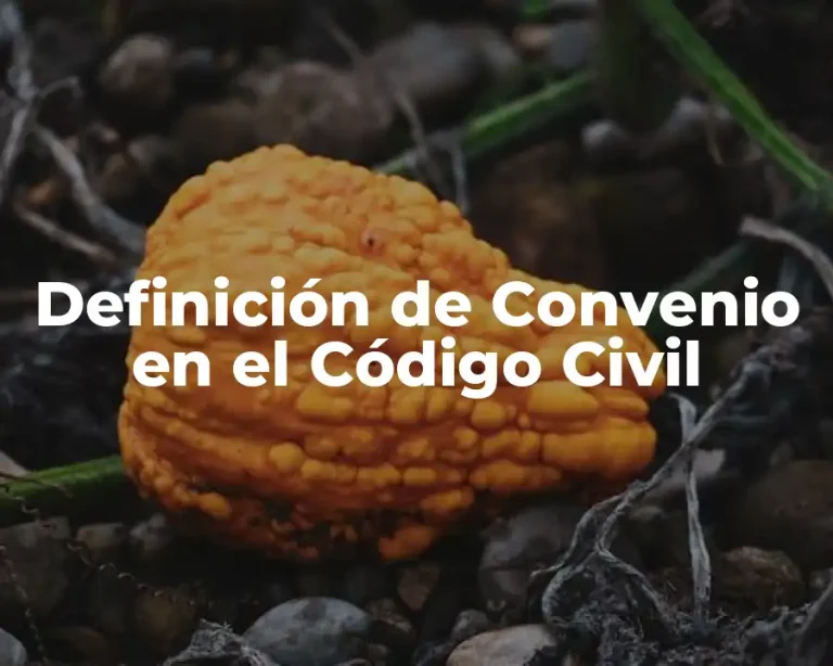 Definición de Convenio en el Código Civil