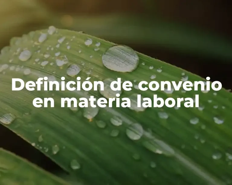 Definición de convenio en materia laboral