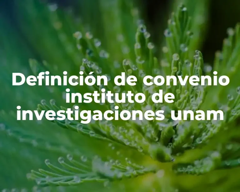 Definición de convenio instituto de investigaciones unam