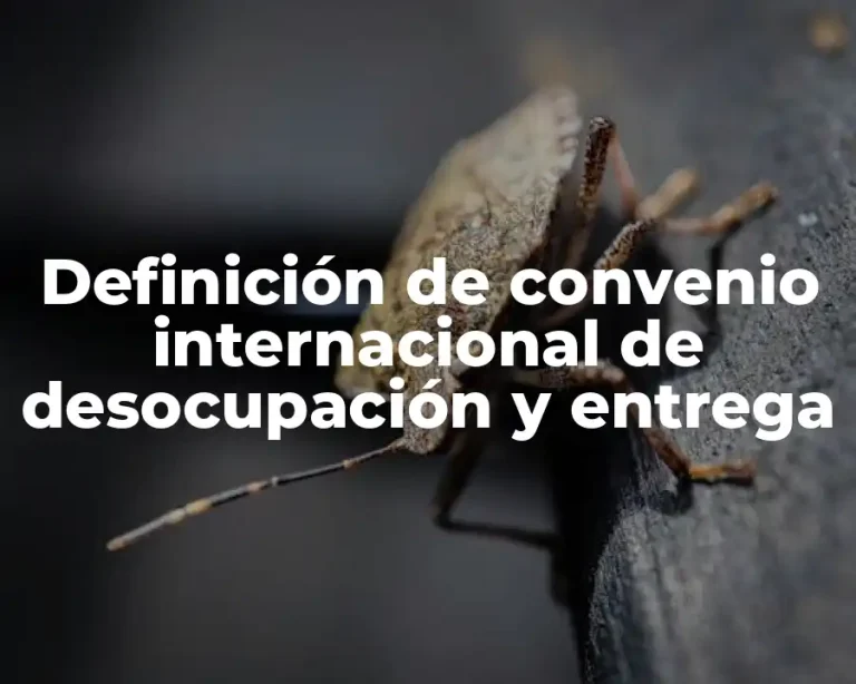 Definición de convenio internacional de desocupación y entrega