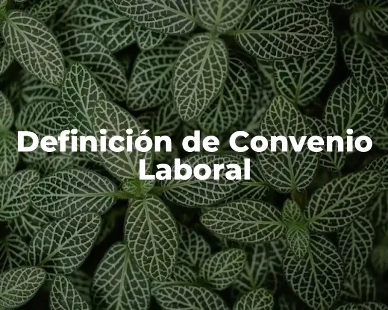 Definición de Convenio Laboral