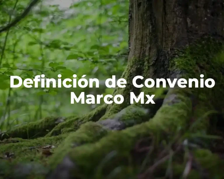 Definición de Convenio Marco Mx
