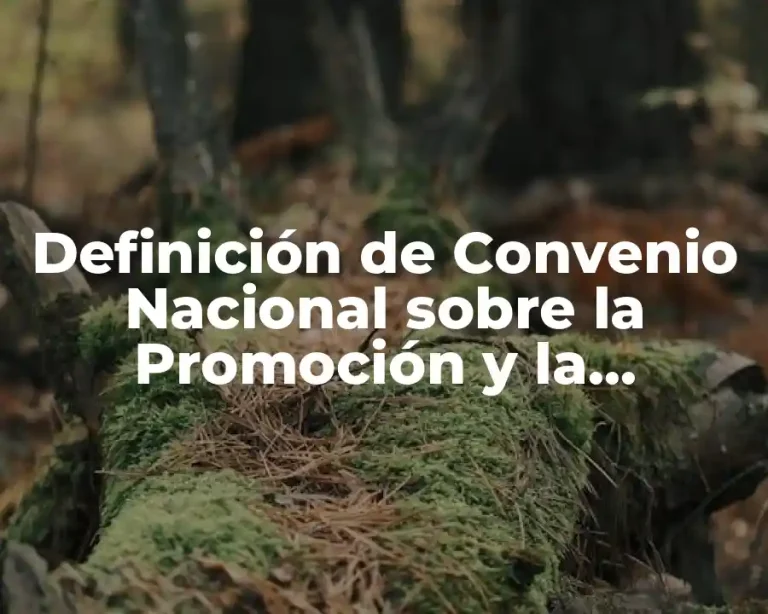 Definición de Convenio Nacional sobre la Promoción y la Protección de los Derechos de los Trabajadores Migrantes y sus Familiares