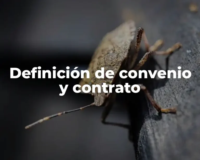 Definición de convenio y contrato