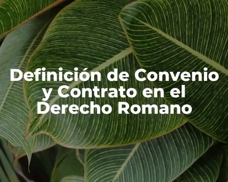 Definición de Convenio y Contrato en el Derecho Romano