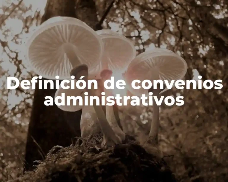 Definición de convenios administrativos