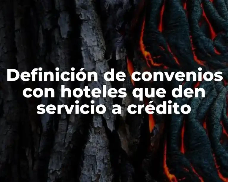 Definición de convenios con hoteles que den servicio a crédito