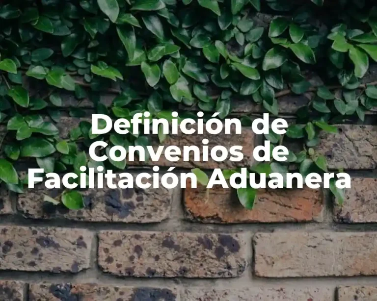 Definición de Convenios de Facilitación Aduanera