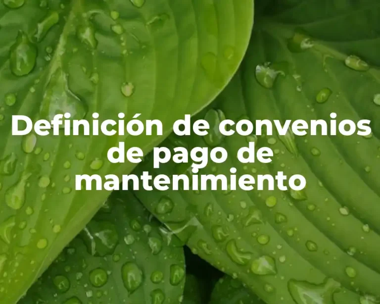 Definición de convenios de pago de mantenimiento